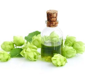 Hop Extracts